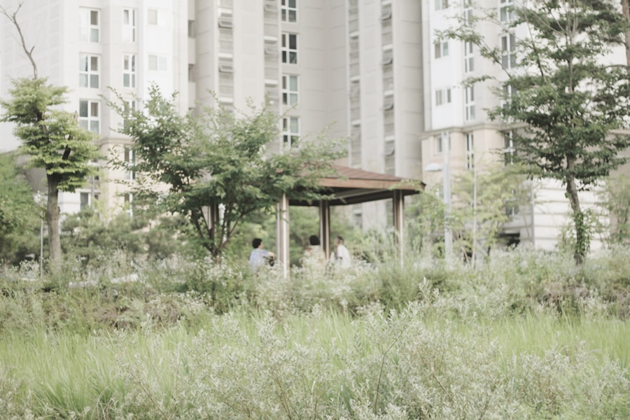 Photo "Urban forest therapy"