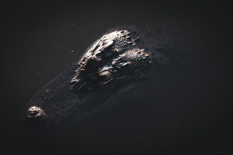 Photo asteroid protection systems